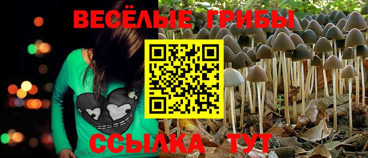 Псилоцибиновые грибы MAGIC MUSHROOMS  Вход с VPN  Коммунар 