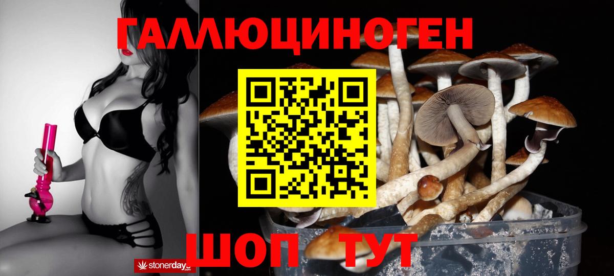 Псилоцибиновые грибы MAGIC MUSHROOMS Коммунар